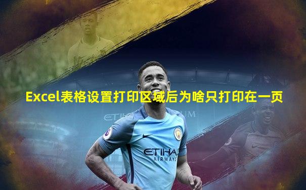 Excel表格设置打印区域后为啥只打印在一页