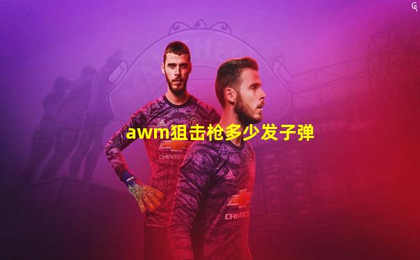 awm狙击枪多少发子弹