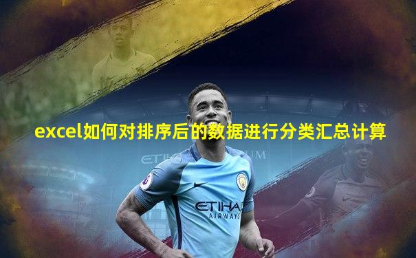 excel如何对排序后的数据进行分类汇总计算