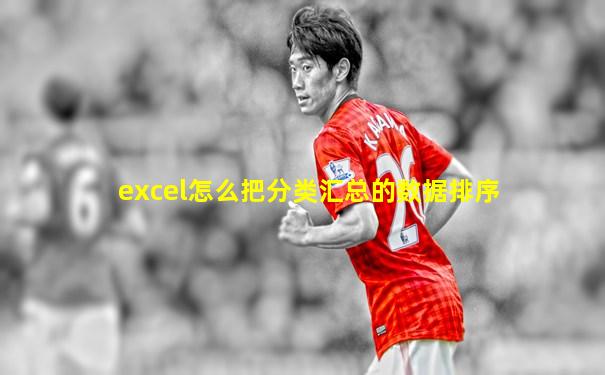 excel怎么把分类汇总的数据排序