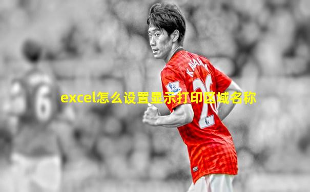 excel怎么设置显示打印区域名称