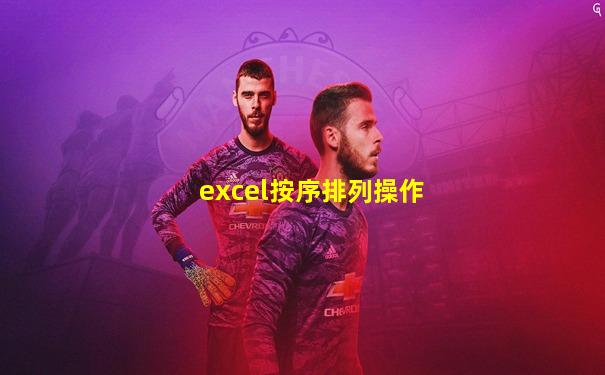 excel按序排列操作