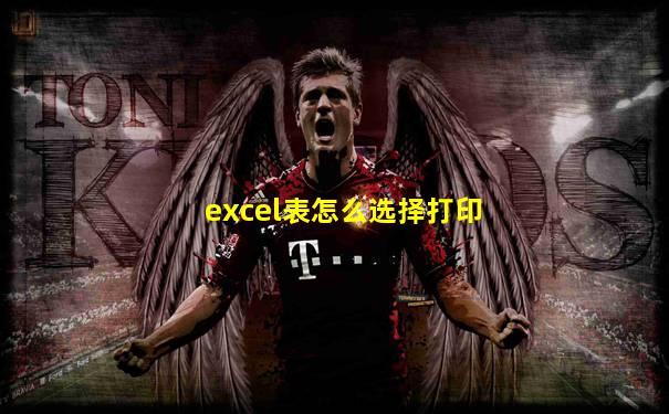 excel表怎么选择打印