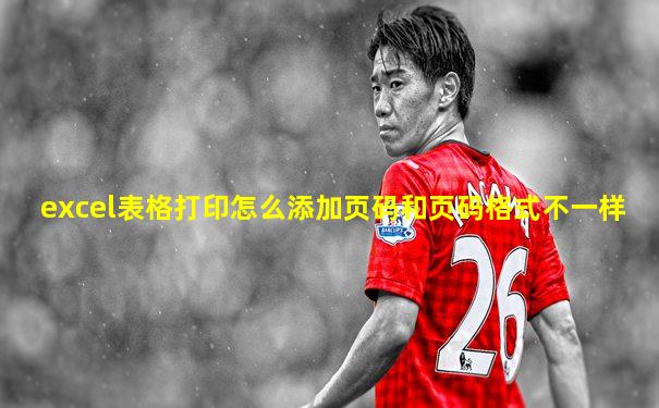 excel表格打印怎么添加页码和页码格式不一样