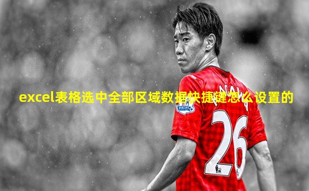 excel表格选中全部区域数据快捷键怎么设置的