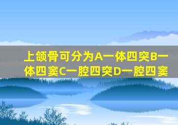 上颌骨可分为A一体四突B一体四窦C一腔四突D一腔四窦