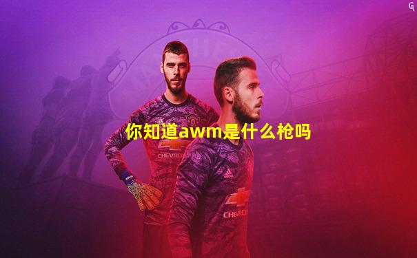 你知道awm是什么枪吗