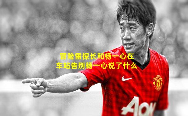 冒险雷探长和杨一心在车站告别杨一心说了什么