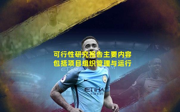 可行性研究报告主要内容包括项目组织管理与运行