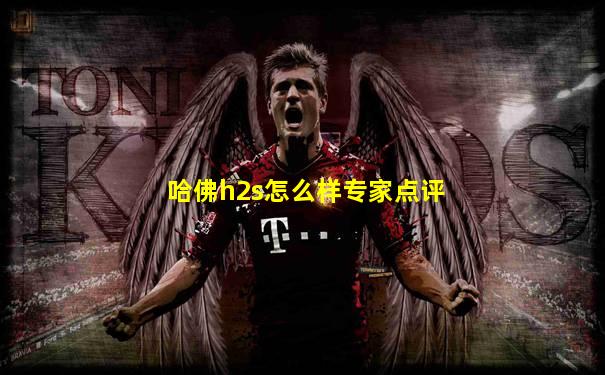 哈佛h2s怎么样专家点评