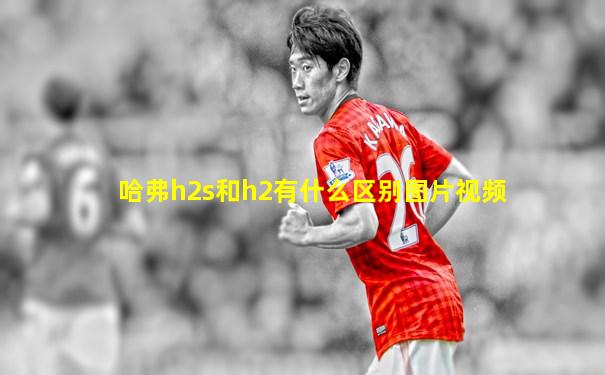 哈弗h2s和h2有什么区别图片视频
