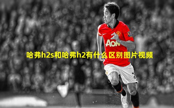 哈弗h2s和哈弗h2有什么区别图片视频
