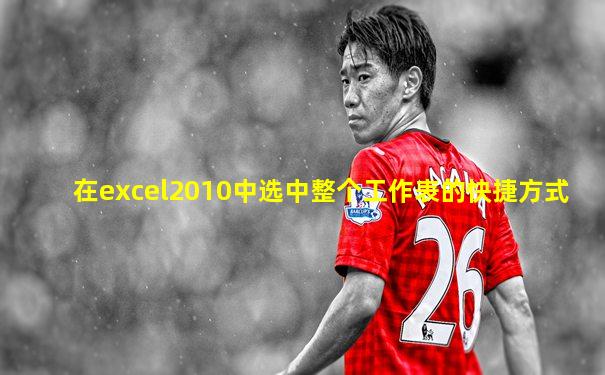 在excel2010中选中整个工作表的快捷方式