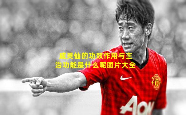 威灵仙的功效作用与主治功能是什么呢图片大全