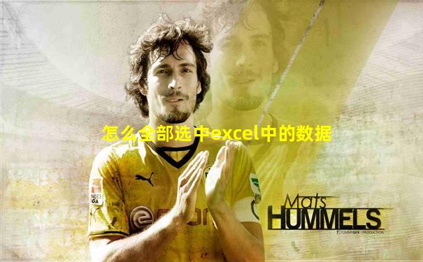 怎么全部选中excel中的数据
