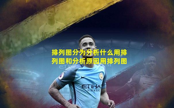 排列图分为分析什么用排列图和分析原因用排列图