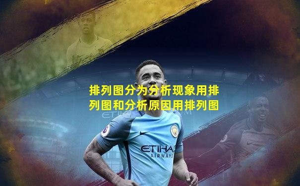 排列图分为分析现象用排列图和分析原因用排列图