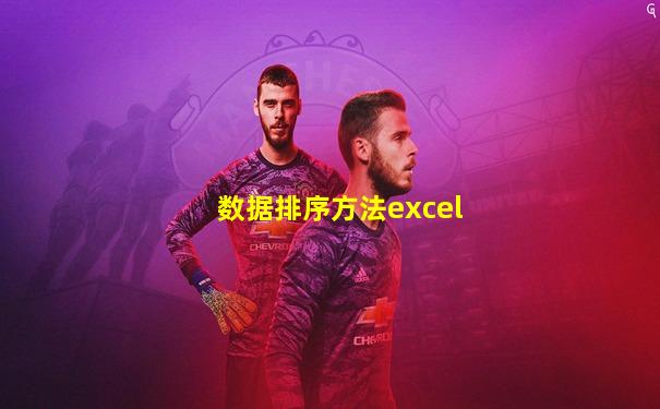 数据排序方法excel