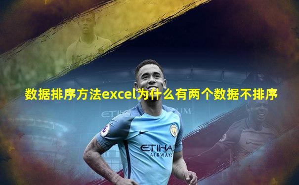 数据排序方法excel为什么有两个数据不排序