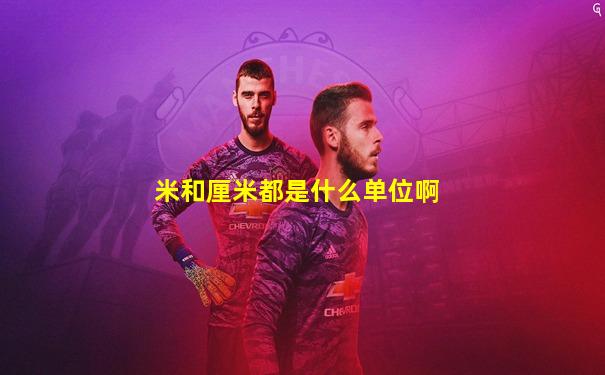 米和厘米都是什么单位啊