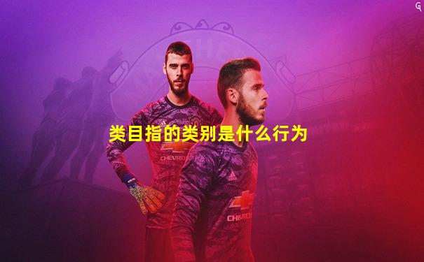 类目指的类别是什么行为