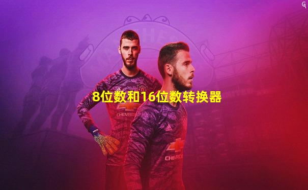 8位数和16位数转换器
