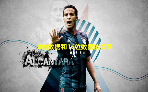 8位数据和16位数据的关系