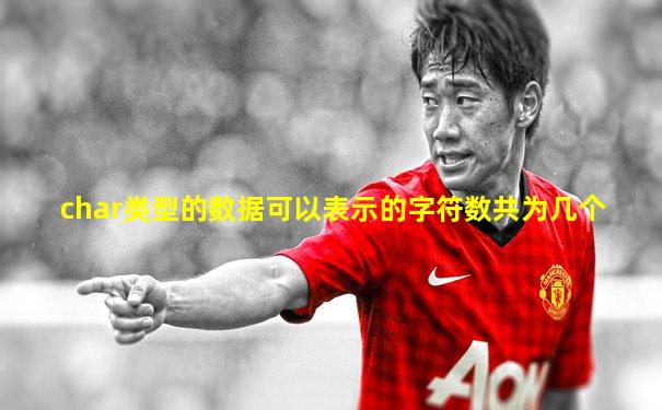 char类型的数据可以表示的字符数共为几个