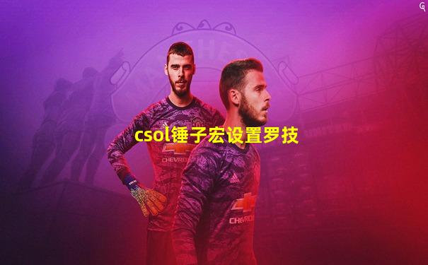 csol锤子宏设置罗技