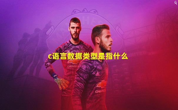 c语言数据类型是指什么