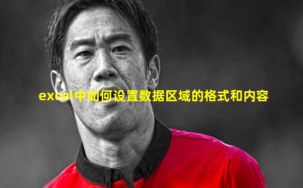 excel中如何设置数据区域的格式和内容