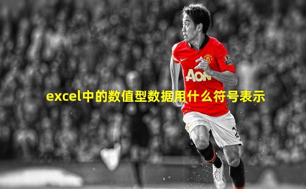 excel中的数值型数据用什么符号表示