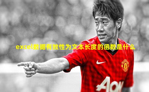 excel数据有效性为文本长度的函数是什么