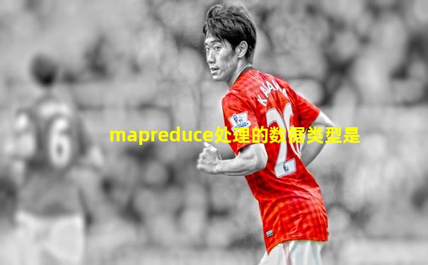 mapreduce处理的数据类型是
