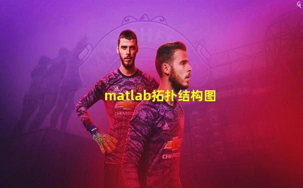 matlab拓扑结构图