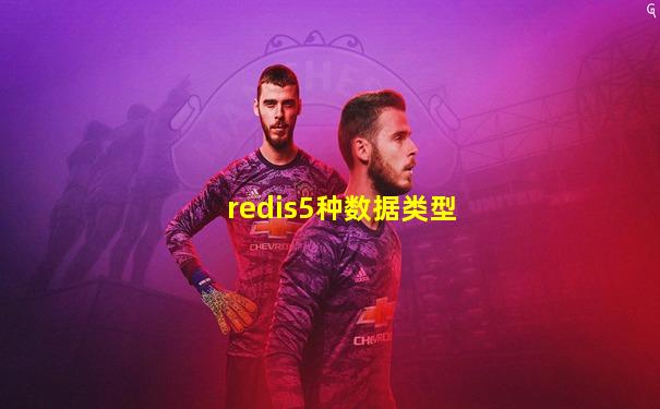 redis5种数据类型
