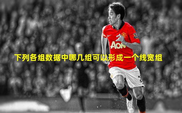 下列各组数据中哪几组可以形成一个线宽组