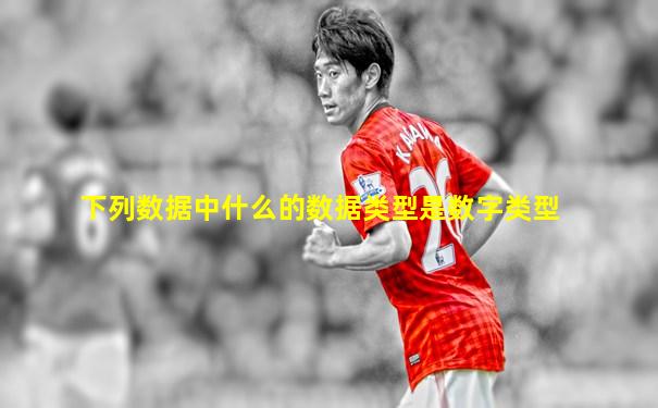 下列数据中什么的数据类型是数字类型