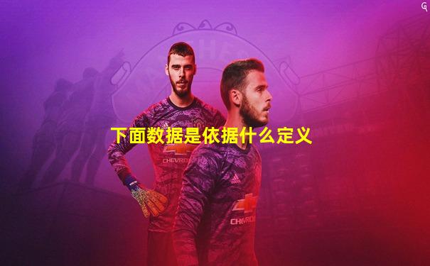下面数据是依据什么定义