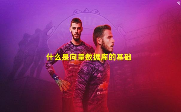 什么是向量数据库的基础