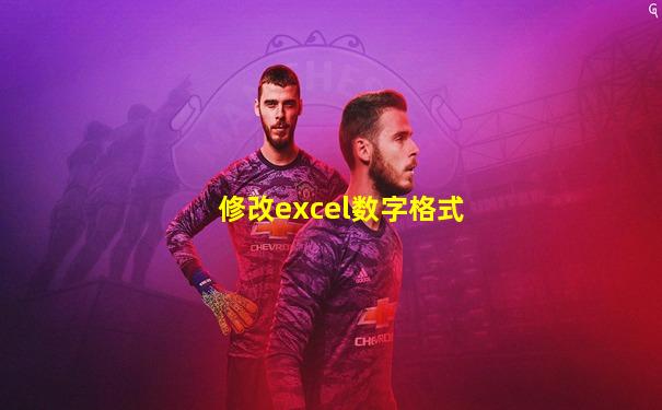 修改excel数字格式