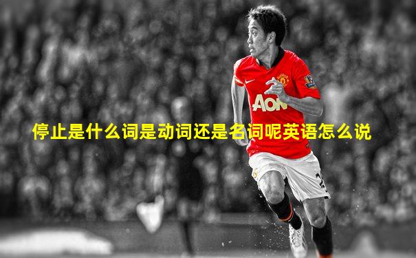停止是什么词是动词还是名词呢英语怎么说