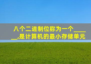 八个二进制位称为一个______,是计算机的最小存储单元