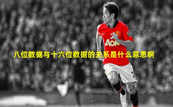 八位数据与十六位数据的关系是什么意思啊