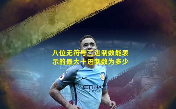 八位无符号二进制数能表示的最大十进制数为多少