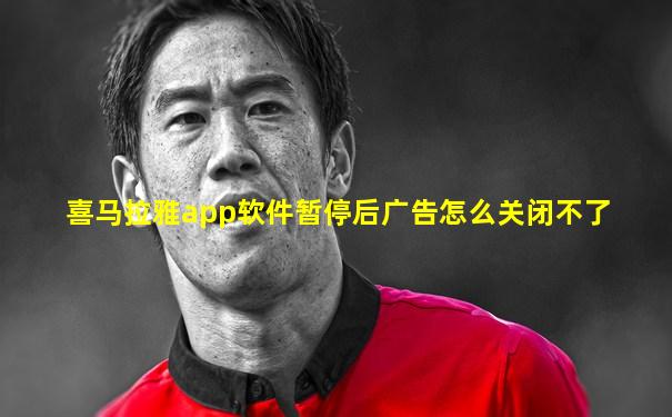 喜马拉雅app软件暂停后广告怎么关闭不了
