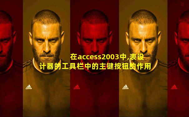 在access2003中,表设计器的工具栏中的主键按钮的作用