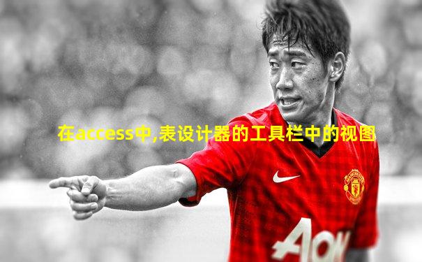 在access中,表设计器的工具栏中的视图