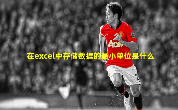 在excel中存储数据的最小单位是什么