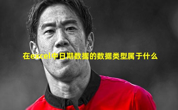 在excel中日期数据的数据类型属于什么